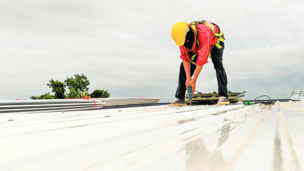 Best Skylight Installation and Repair  in Caledonia, MI