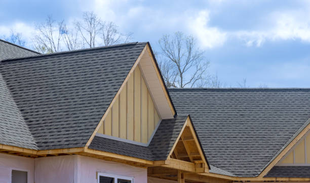 Best Roof Insulation Installation  in Caledonia, MI